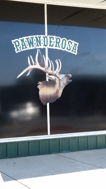 Pawnderosa Gun & Pawn Llc casa de empeño en Aurora